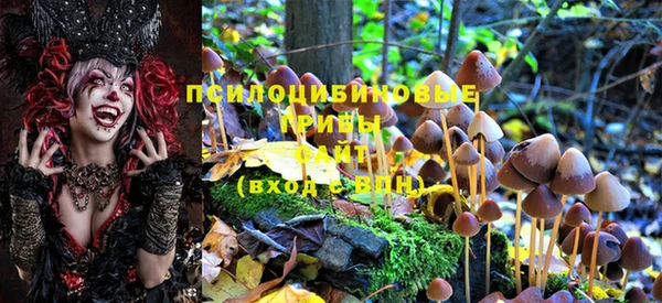 дистиллят марихуана Ладушкин