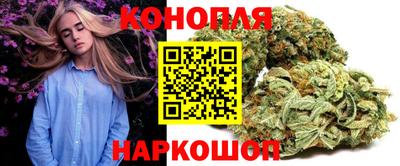 ALPHA PVP Гай