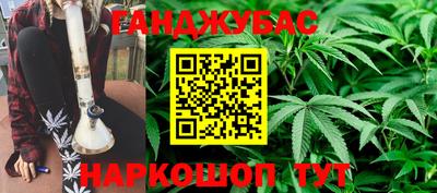 ALPHA PVP Гай
