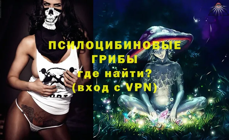 MEGA сайт  Ивантеевка  Галлюциногенные грибы Psilocybine cubensis 