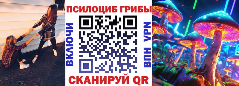 Псилоцибиновые грибы Psilocybe Ивантеевка