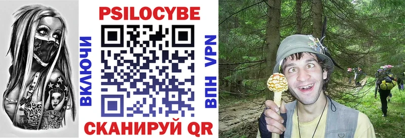 Галлюциногенные грибы Psilocybine cubensis  Ивантеевка 