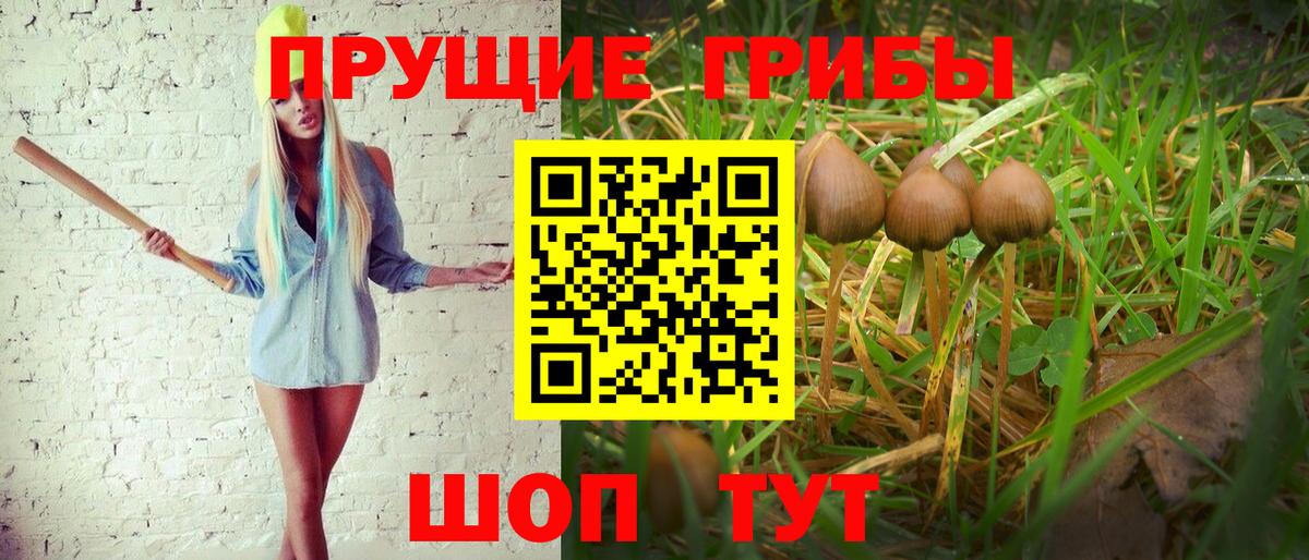 Псилоцибиновые грибы GOLDEN TEACHER Ивантеевка