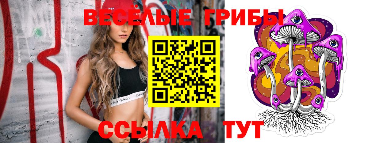 Меф Ивантеевка