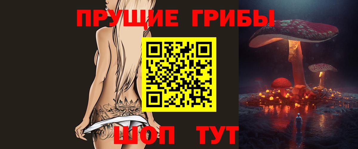 Псилоцибиновые грибы Psilocybine cubensis Ивантеевка