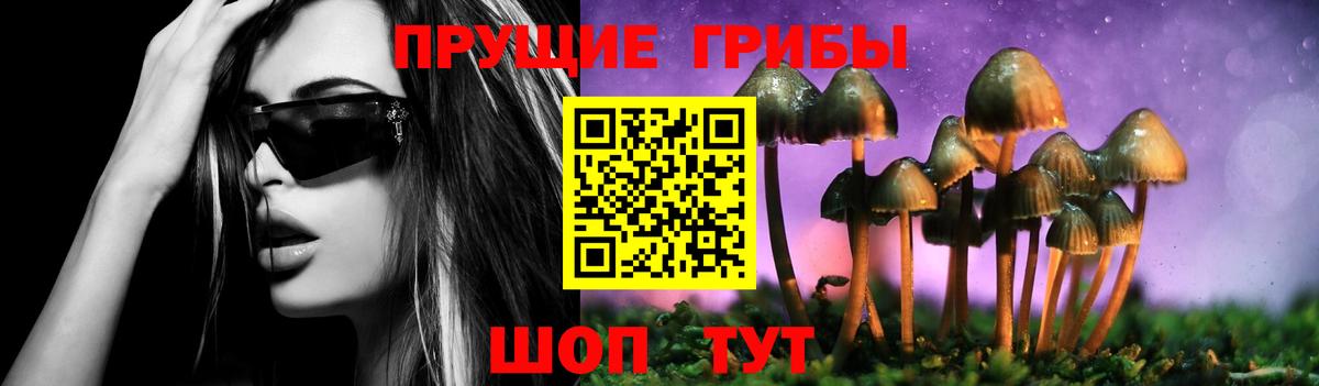 Псилоцибиновые грибы MAGIC MUSHROOMS  Псилоцибиновые грибы Magic Shrooms  Вход с VPN  наркошоп  Ивантеевка 