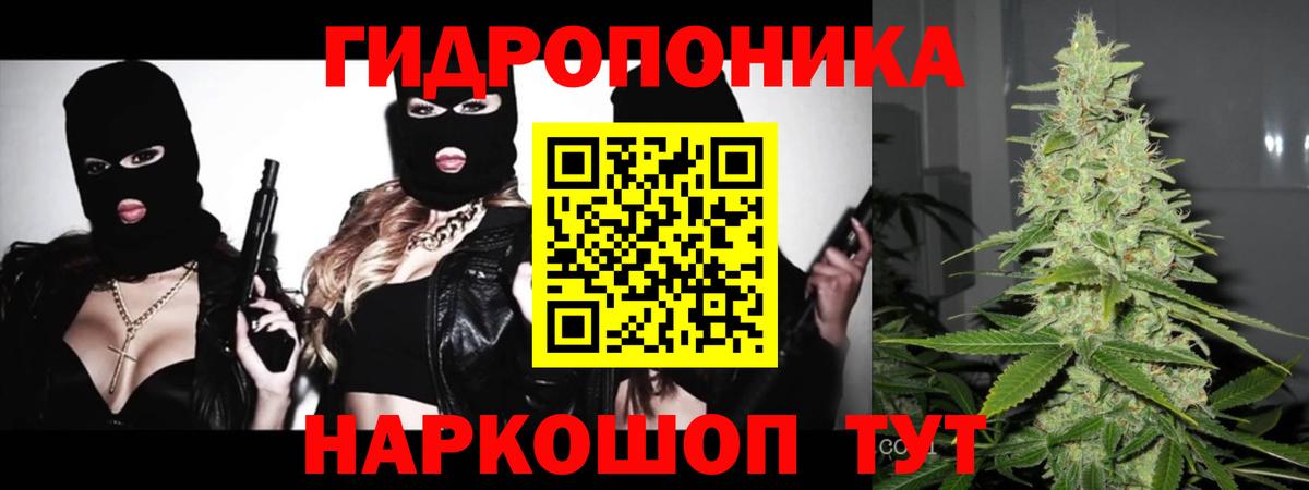 Альфа ПВП Ивантеевка